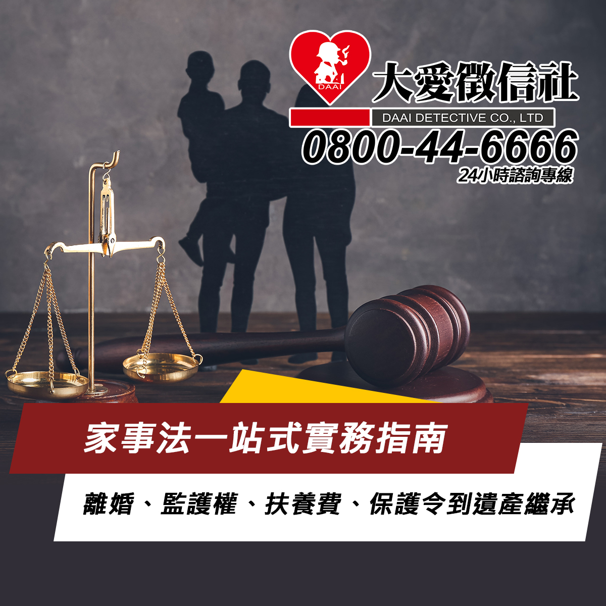 家事法一站式實務指南｜離婚、監護權、扶養費、保護令到遺產繼承的程序、證據與策略