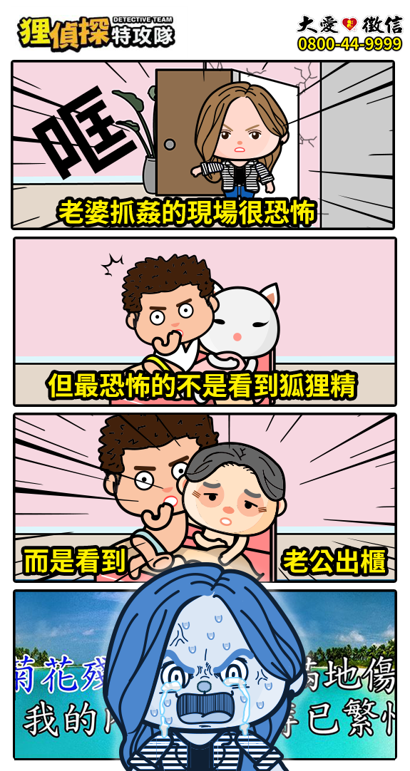 狸侦探出击 200728 期