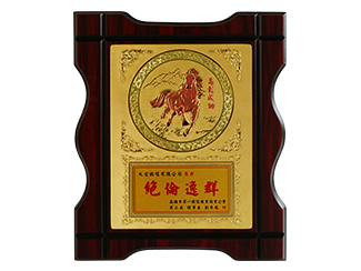 相关证书与奖杯奖状03