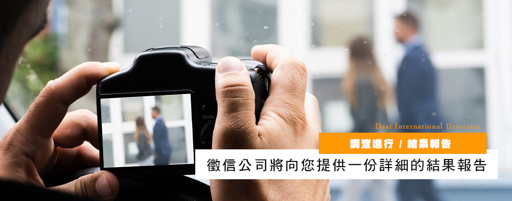 调查进行 / 结果报告